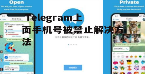 Telegram手机号被封禁